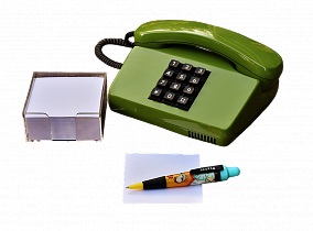 «Зеленый телефон»: Барнаульцы могут сообщить об экологических нарушениях в городе