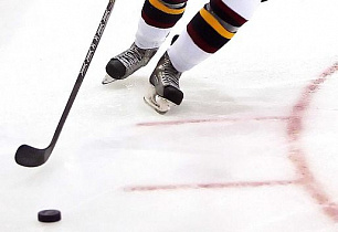 Барнаул посетит детская хоккейная команда из Донецкой Народной Республики