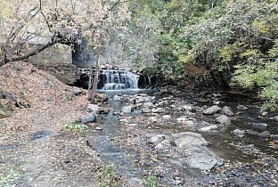 В рамках Всероссийской акции «Зеленая Россия» в Барнауле очистили территорию у водопада на Пивоварке