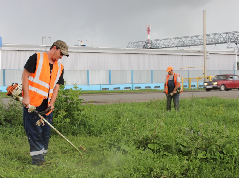 После ливней в Барнауле интенсивно косят траву на газонах