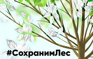 Барнаульцев приглашают присоединиться к всероссийской акции по сбору макулатуры 