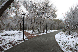 В Барнауле в рамках нацпроекта на общественных пространствах продолжают работы