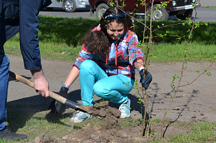 Барнаульских учителей и воспитателей приглашают принять участие в конкурсе молодых педагогов «#ЭкоОбразование22»