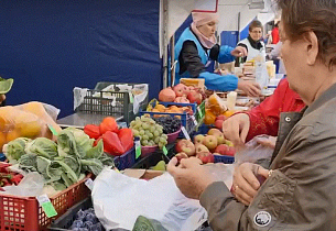 Завершающая сезон социальная ярмарка состоится в Барнауле 9 ноября