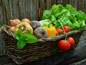 Праздник урожая «Щедрая осень Алтая» впервые пройдет в Барнауле