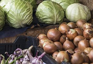 Барнаульцев приглашают на социальные ярмарки за продуктами и саженцами