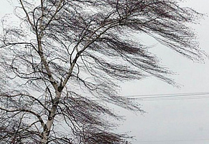 В Алтайском крае продлили штормовое предупреждение 