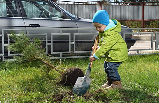 Барнаульцам вновь предлагают сдать вторсырье в обмен на саженцы деревьев