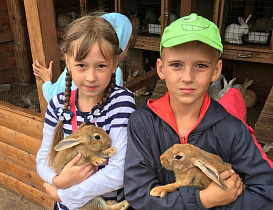 В Барнауле для детей-сирот провели экскурсию на страусиную ферму