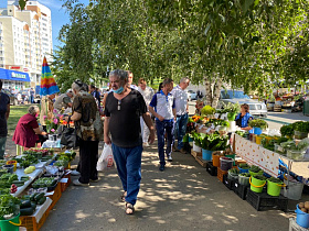 Глава города Вячеслав Франк провёл выездное совещание по вопросу торговли в неустановленных местах в районе рынка Докучаево