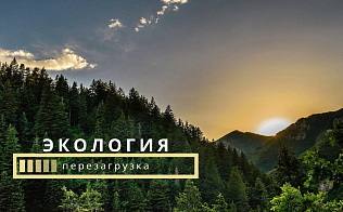 Жителей краевой столицы приглашают на онлайн-конференцию «Экология: перезагрузка»