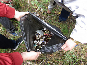 В Барнауле состоялась акция «Чистый лес - территория без огня»