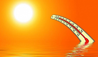 В Алтайском крае период жары продолжится до 25 июня