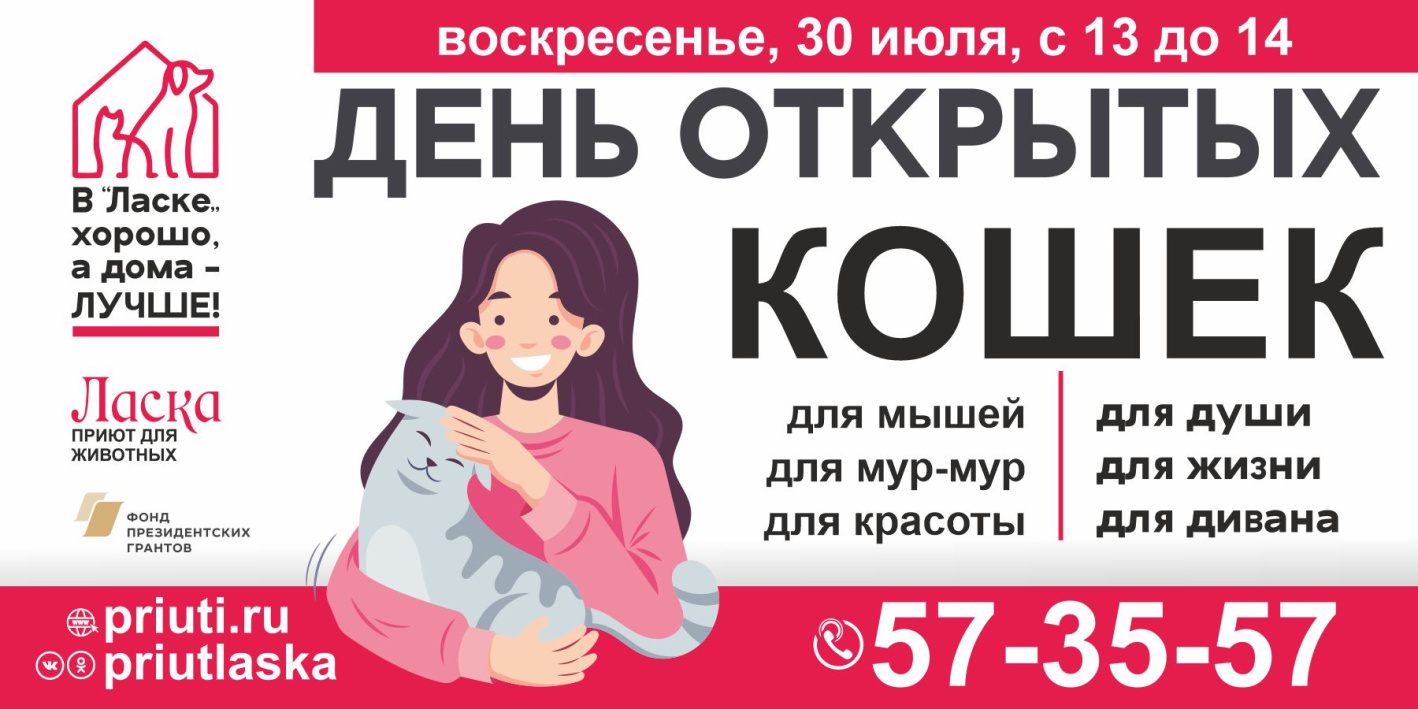 В барнаульском приюте домашних животных «Ласка» пройдет необычный «День открытых дверей» 