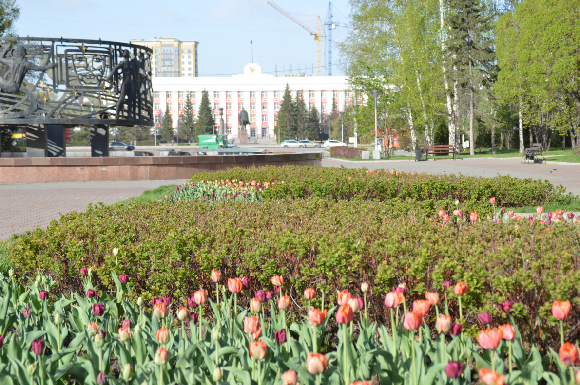 Продолжается голосование по выбору общественных территорий, которые благоустроят по проекту «Формирование комфортной городской среды»