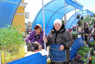 На площади Спартака появились торговые ряды для пенсионеров