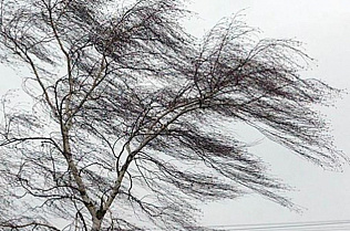 В Алтайском крае действует штормовое предупреждение 