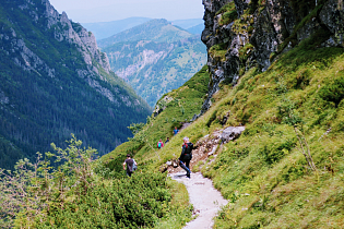 Открыт прием заявок на соискание грантов Губернатора Алтайского края в сфере туризма