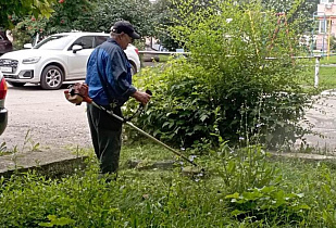 В Барнауле продолжаются сезонные работы по скашиванию травы 