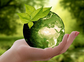 Что общего между наукой, искусством, спортом и едой? Экологический фестиваль состоится в Барнауле