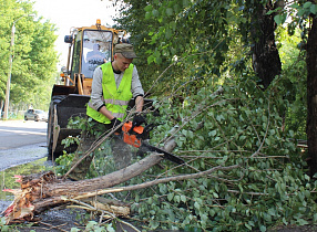 Дорожники устраняют последствия урагана