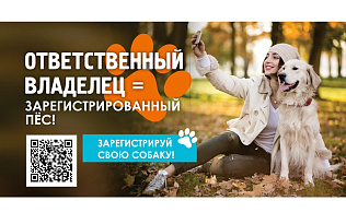 На следующей неделе мобильный пункт регистрации домашних собак будет работать в Индустриальном районе 