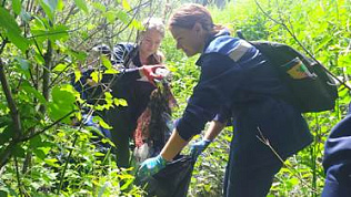 Экологический отряд «Зеленая волна» помогает благоустраивать территорию Ленинского района