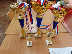 Шахматный турнир Барнаульской агломерации проходит в краевой столице 