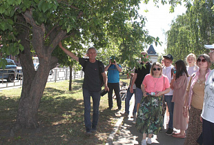 Учёные исследуют состояние зелёных зон Барнаула