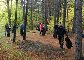 Барнаульцев приглашают на субботник в ленточный бор