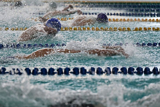 Около тысячи пловцов собрал в Барнауле «Кубок Сибири» 