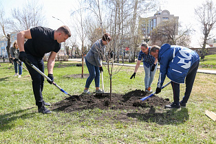 Глава Барнаула Вячеслав Франк принял участие в общегородском субботнике