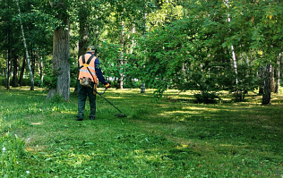 В Барнауле продолжаются сезонные работы по покосу травы