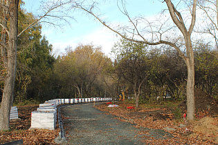 Благоустройство общественных пространств Барнаула продолжается в рамках национального проекта