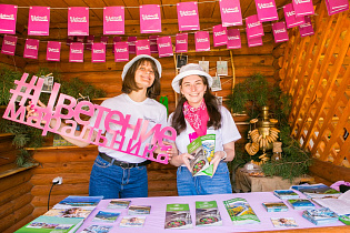 Алтайский край получит федеральную поддержку на благоустройство пляжей и проведение фестиваля «Цветение маральника»