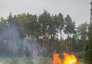 Барнаульцам напоминают о действии запрета на посещение лесов в пожароопасный период