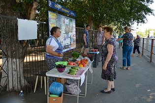 На улице Пионеров продолжают борьбу с незаконной торговлей