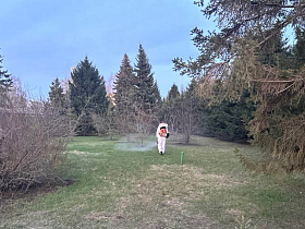 На общественных территориях Барнаула продолжается обработка от клещей 