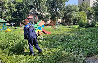 Экологические отряды продолжают благоустраивать улицы Барнаула