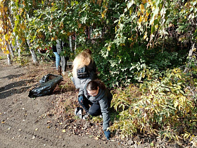 Первая городская экологическая акция прошла в рамках месячника осенней санитарной очистки