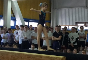 Соревнования по спортивно-оздоровительной гимнастике провели в Барнауле