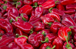 2,5 миллиона рублей составил товарооборот субботних ярмарок в Барнауле и пригороде 