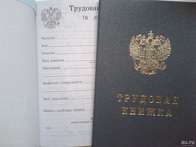 Что нужно знать работодателям об электронной трудовой книжке