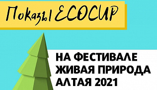 В ГМИЛИКА пройдет фестиваль «Живая природа Алтая»