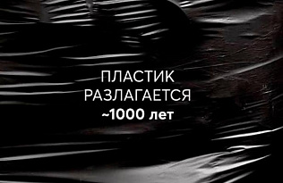 Барнаульцам напоминают, зачем сортировать отходы