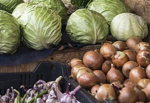 В пригороде Барнаула проведут продовольственные ярмарки