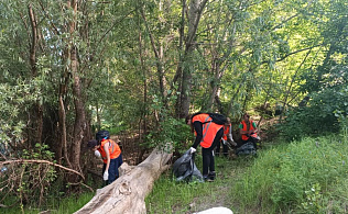 В Барнауле начал работу студенческий экологический отряд «Зелёный Феникс»