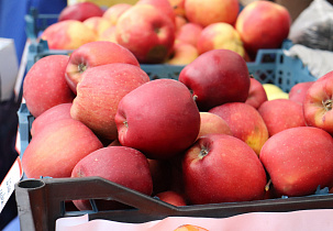 14 мая в Барнауле проведут финальную в сезоне продуктовую ярмарку