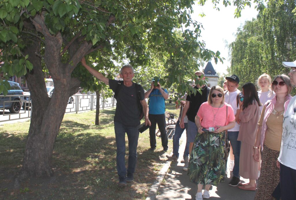 Учёные исследуют состояние зелёных зон Барнаула