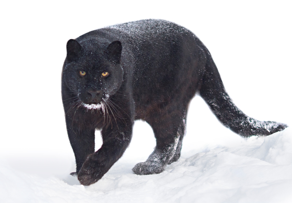 Автор фото: Евгений Доманов